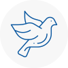 Bird Prevention Bletchley