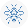 Bletchley Hornet Nest Removals