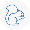 Bletchley Rodent Removals